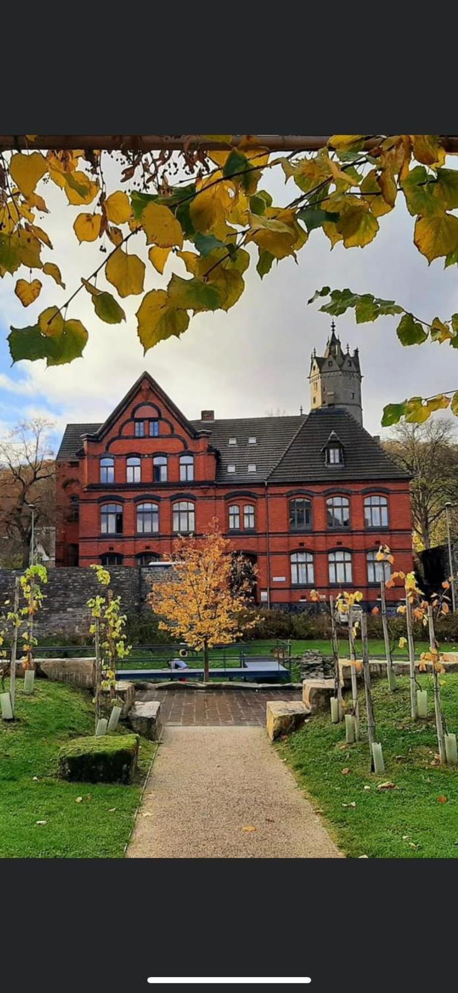 Back To School Lägenhet Andernach Exteriör bild